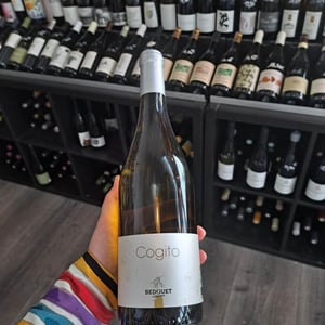 Cogito - Bedouet Vigneron - bedouet