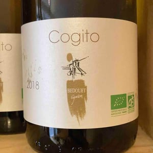 Cogito - Bedouet Vigneron - bedouet