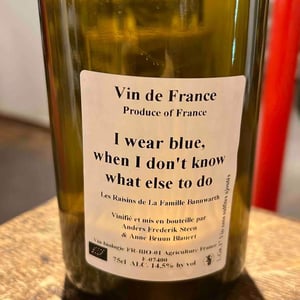 I Wear Blue, When I Don’t Know What Else To Do 2021 - Anders Frederik Steen & Anne Bruun Blauert - Anders Frederik Steen & Anne Bruun Blauert