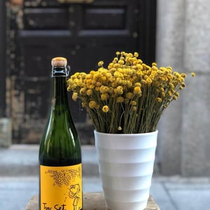 Tinc Set - Ramon Jané Viticultor - ramon-jane