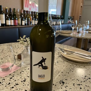 Iago Amber - Iago's wine - iago-bitarishvili -2022