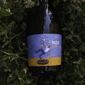 Pet Nat - Iago's wine - Iago Bitarishvili 