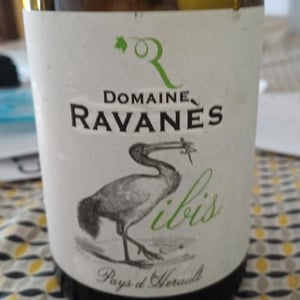Ibis - Domaine De Ravanès - marc-axel-et-david-benin -2021