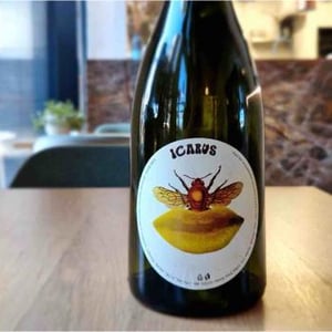 Icarus - Vino Vdovjak - Matus Vdovjak -2021