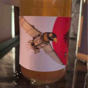 Icarus - Jan-Philipp Bleeke - Winemaking - Jan-Philipp Bleeke -22
