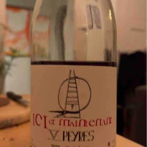 Ici Et Maintenant - Domaine Cinq Peyres / V Peyres - Charles Bonnafont 
