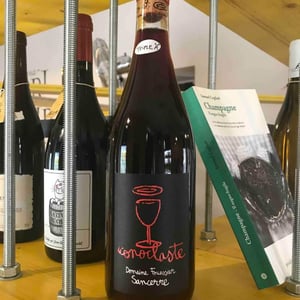 Iconoclaste - Domaine Fouassier - benoit-paul-fouassier