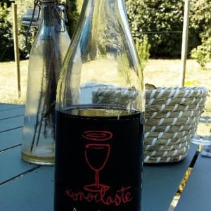 Iconoclaste - Domaine Fouassier - benoit-paul-fouassier