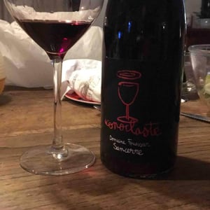 Iconoclaste - Domaine Fouassier - Benoit & Paul Fouassier 