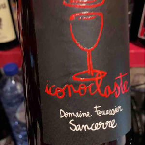 Iconoclaste - Domaine Fouassier - Benoit & Paul Fouassier 