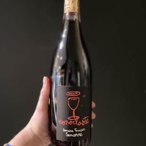 Iconoclaste - Domaine Fouassier - benoit-paul-fouassier