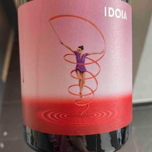 IDOIA - — - ca-nestruc -2018