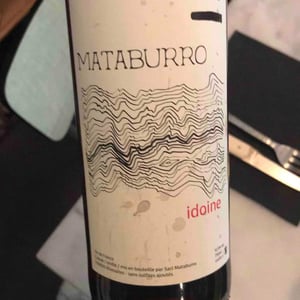 Mataburro - Laurent Roger & Melissa Ingrand - Idoine