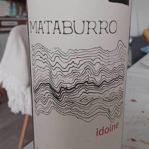 Mataburro - Laurent Roger & Melissa Ingrand - Idoine