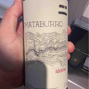 Mataburro - Laurent Roger & Melissa Ingrand - Idoine