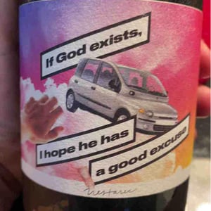 If God Exists, I Hope He Has A Good Excuse - Milan Nestarec - Milan Nestarec 