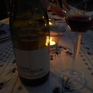 Château La Colombière - Diane & Philippe Cauvin - Si Vis Pacem Para Vinum