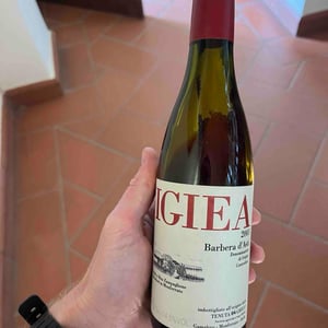 Igiea - Tenuta Grillo - Guido Zampaglione 