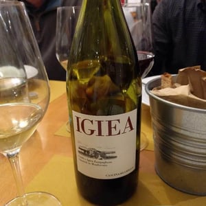 Igiea - Tenuta Grillo - guido-zampaglione