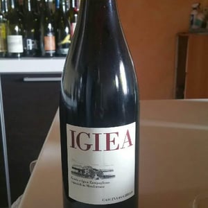 Igiea 2006