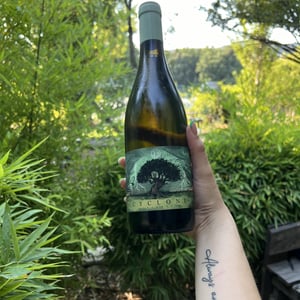 Cyclone - Domaine Santamaria - Jean-Louis & Thomas Santamaria -2020