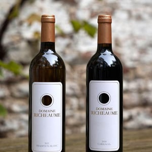 IGP Méditérannée Carignan - Domaine Richeaume - Henning et Sylvain Hoesch 