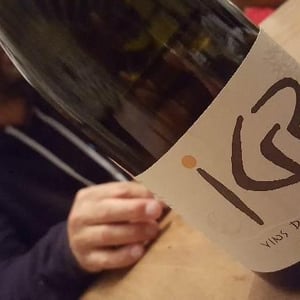 IGP Vin Des Allobroges Petite Arvine - Les Vignes de Paradis - Dominique Lucas 