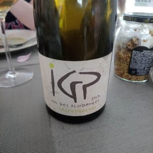 IGP Vin Des Allobroges Sauvignon - Les Vignes de Paradis - Dominique Lucas 