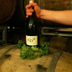 IGP Vin Des Allobroges Sauvignon - Les Vignes de Paradis - dominique-lucas