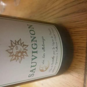 IGP Vin Des Allobroges Sauvignon - Les Vignes de Paradis - Dominique Lucas 