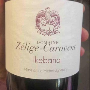 Ikebana - Zélige Caravent - luc-marie-michel
