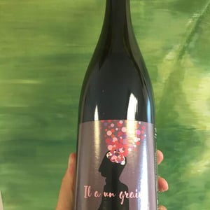 Il A Un Grain! - Domaine Sauveterre - Ghislaine & Jerôme Guichard 
