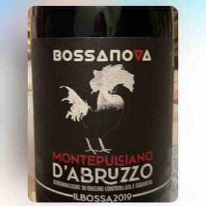 Il Bossa 2019 - Bossanova - Andrea Quaglia e Nat Colantonio -2019