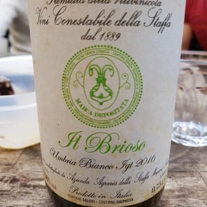 Il Brioso - ? - Danilo Marcucci 
