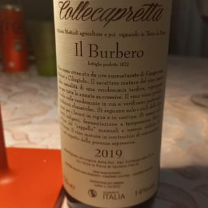 Il Burbero - Collecapretta - Anna & Vittorio Mattioli 
