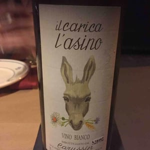Il Carica l'Asino 2015