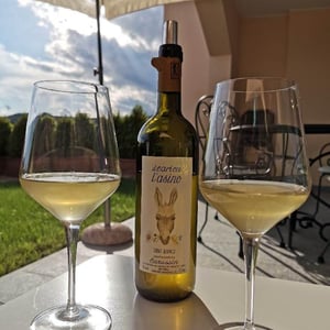 Azienda Agricola Carussin - Bruna Ferro - Il Carica l'Asino
