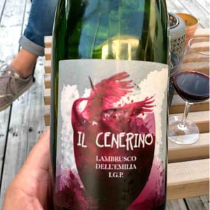 Il Cenerino - Podere Cervarola - andrea-della-casa