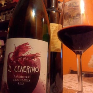 Il Cenerino - Podere Cervarola - andrea-della-casa