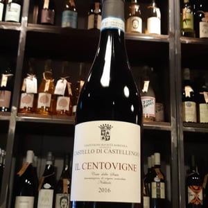 Il centovigne - Centovigne - Magda e Alessandro Ciccioni -2016