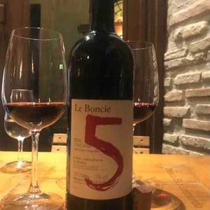 Cinque - Le Boncie - Giovanna Morganti 