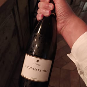 Il Contestatore - Il Pendio - michele-loda