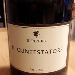 Il Contestatore - Il Pendio - Michele Loda 