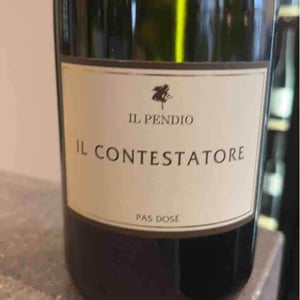 Il Contestatore - Il Pendio - michele-loda
