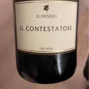 Il Contestatore - Il Pendio - Michele Loda 