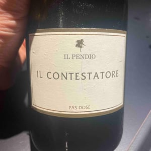 Il Contestatore - Il Pendio - Michele Loda 