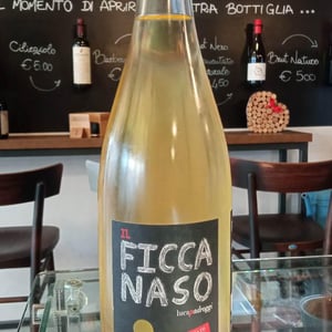 Il Ficcanaso - Azienda Agricola Padroggi - Luca Padroggi 