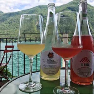 Azienda Agricola Casebianche - Elisabetta Iurio & Pasquale Mitrano - Il Fric