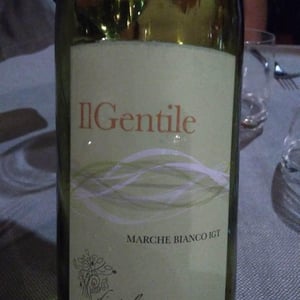 Il Gentile - Di Giulia - giulia-fiorentini