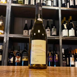 Il Gentile - Di Giulia - giulia-fiorentini